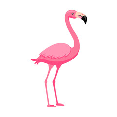 Pink flamingo. Bright tropical exotic bird cartoon vector illustration. Summer wildlife, Polynesian fauna isolated on white