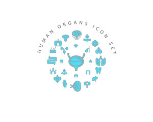 Vector muman organs icon set