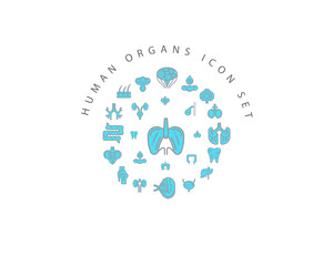 Vector muman organs icon set