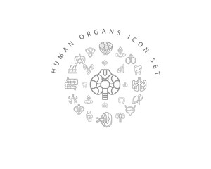 Vector muman organs icon set
