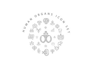 Fototapeta premium Vector muman organs icon set