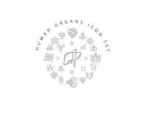 Vector muman organs icon set