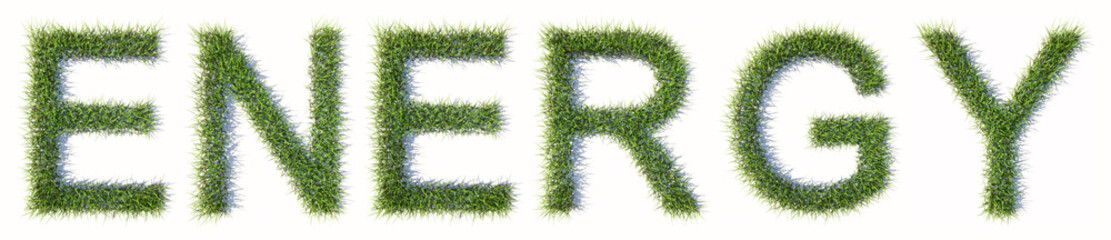 Concept or conceptual green lawn grass forming the word  ENERGY  isolated on white background. 3d illustration metaphor for   renewable energy, alternative technologies, sustainabe consumption