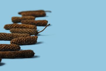 Dry Indian long pepper . Piper Longum ,Piper retrofractum, Pippali, Long pepper. Pattern texture background. Top view.