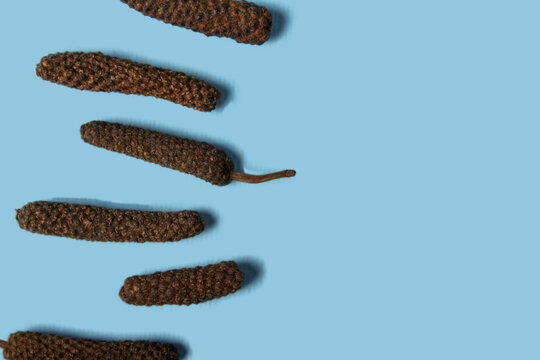 Dry Indian long pepper . Piper Longum ,Piper retrofractum, Pippali, Long pepper. Pattern texture background. Top view.