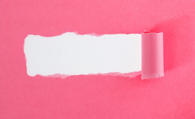 Pink torn paper on white background