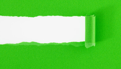 Green torn paper on white background