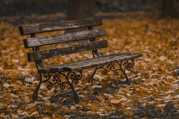 bench in autumn park