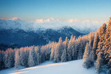 Wintery landscape