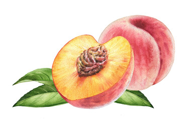 Watercolor composition with peaches. Realistic setup with pink fruits and green leaves. Half and whole peaches. Botanical hand-painted illustration for food label design - 553718751