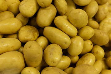 Ziemniak Kartofel Warzywo Obiad Zdrowie - obrazy, fototapety, plakaty