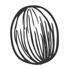Avocado seed vector icon. Hand drawn sketch. Texture seed of a tropical plant. Simple botanical element, monochrome outline. Clipart for decoration, design of cosmetics, scrub, cream