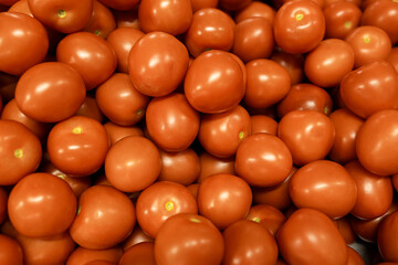  Pomidor Pomidory Pomidorowe Warzywa Warzywo - obrazy, fototapety, plakaty