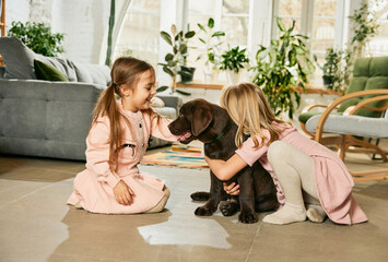 Two lovely little girls, children playing, hugging beautiful purebred dog, brown labrador at home....
