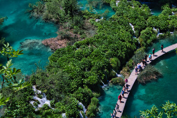 bridge over the river