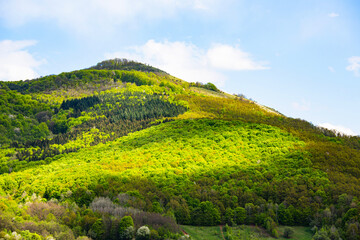 Trascau mountains landscape with vivid green foliage, Apuseni Mountains, Romania
