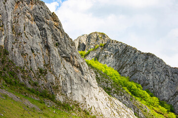Cliff detail in Trascau mountains canyon. Vălişoara gorge in eastern Apuseni Mountains, Romania
