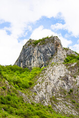 Canyon detail in Trascau mountains with green trees and vegetation. Apuseni Mountains, Romania, Vălişoara gorge.