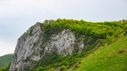 Cliff detail of Trascau mountains canyon with green foliage, Vălişoara gorge in eastern Apuseni Mountains, Romania