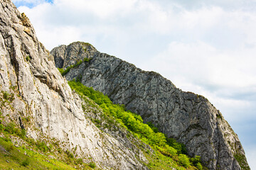 Cliff detail in Trascau mountains canyon. Vălişoara gorge in eastern Apuseni Mountains, Romania
