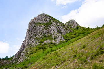 Cliff detail in Trascau mountains canyon with green vegetation, Vălişoara gorge in eastern Apuseni Mountains, Romania