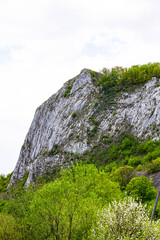 Cliff detail in Trascau mountains canyon with green trees and vegetation, Vălişoara gorge in eastern Apuseni Mountains, Romania