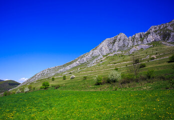Fototapeta na wymiar Green slopes of Piatra Secuiului (Szekelyko) Mountain in the Romanian Carpathians, Rimetea village, Alba County, Romania.