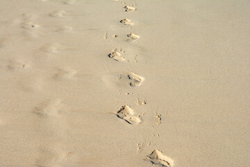 Spuren am Strand
