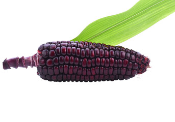 fresh purple corn isolated transparent png