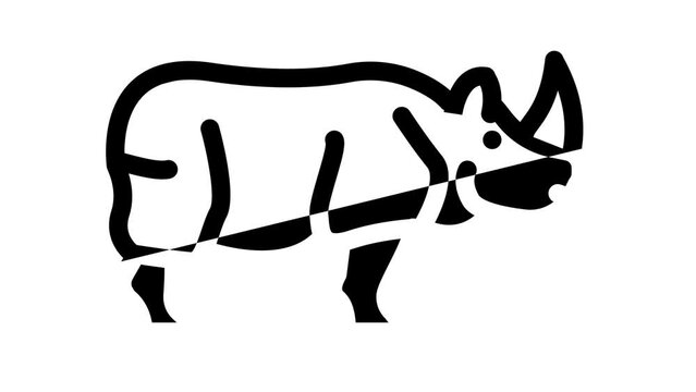 rhino animal line icon animation