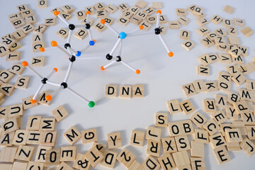 close-up of word dna, scattering of wooden squares with letters, model of molecular compounds on...