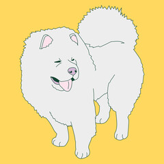 Fashion minimal illustration art. Stylish white Dog retro fashion design
