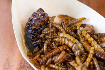 Fried wood grubs, mealworms and cockroach on a wooden chopping board. Fried insects as a source of protein in the diet.