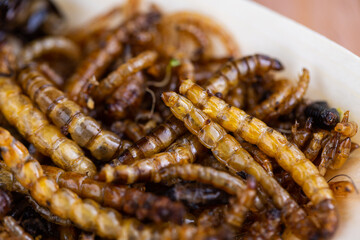 Fried wood grubs and mealworms on a wooden chopping board. Fried insects as a source of protein in the diet.