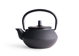 Black japanese cast iron teapot
