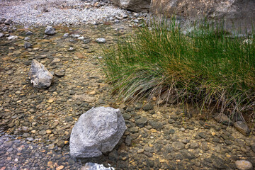 Top view of a clear stream with many pebbles. The water is transparent. Two stones and a green bush stick out