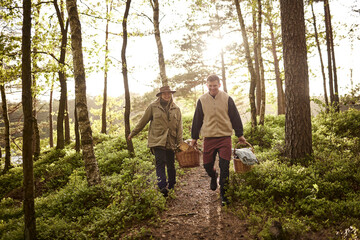 Couple walking through forest