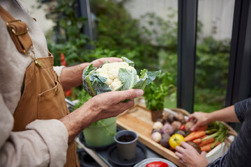 Hands holding cauliflower