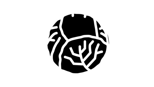 cabbage one whole line icon animation