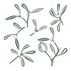 Mistletoe branches with white berries. Vector isolated set. Christmas decoration plant, floral cartoon elements, mistletoe branch decoration