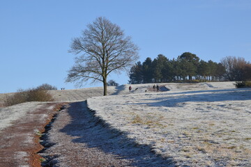 the clent hills covered in frost and ice at the start of a cold winter in the west midlands