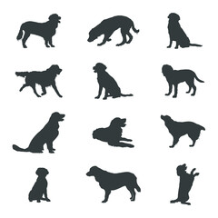 Golden retriever dog silhouettes