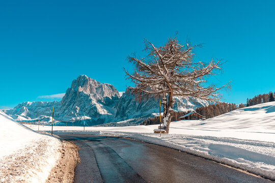 Paisagem coberta de neve no alpi di siusi na regi&atilde;o das Dolomitas em Ortisei na It&aacute;lia