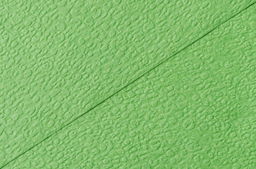 The Texture of natural green paper as background.