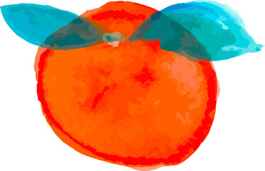 Watercolor orange fruits. Citrus set with half and slices