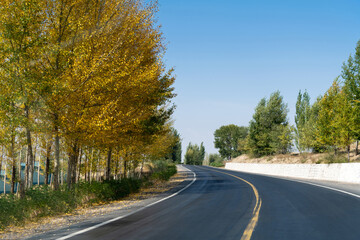 Curved asphalt road surrounded with trees on a sunny day
