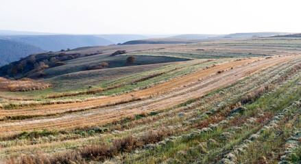 Fototapeta na wymiar The Inner Mongolia prairie in early autumn day