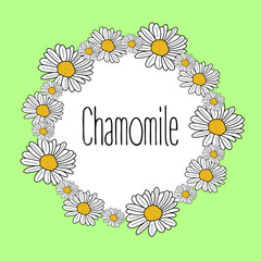 Chamomile floral frame. Frame with flowers of chamomile on green background. Floral design with chamomiles. Flat illustration of flowers. vector illustration