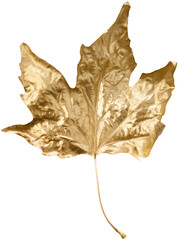 Autumn gold concept. Fall gold leaves pattern on background. Flat lay