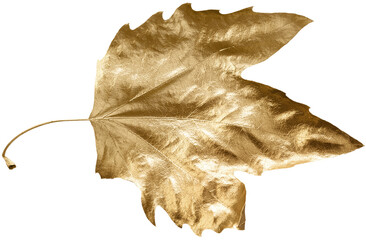 Autumn gold concept. Fall gold leaves pattern on background. Flat lay